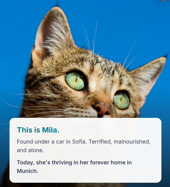 mila